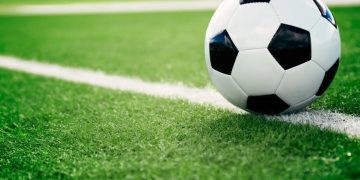 Foto: Shutterstock.com/topseller, ilustracija