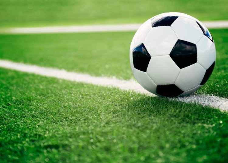 Foto: Shutterstock.com/topseller, ilustracija