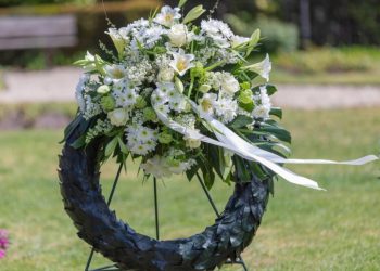 Foto: Shutterstock.com/Jan van Dasler, ilustracija