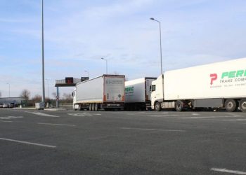 Foto: TANJUG/SAŠKA DROBNJAK