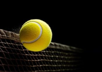 Foto: Shutterstock.com/Galina-Photo, ilustracija