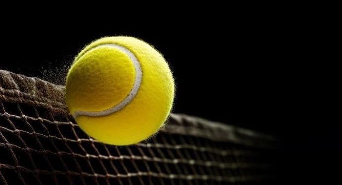 Foto: Shutterstock.com/Galina-Photo, ilustracija