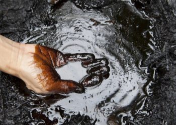 Foto: Shutterstock.com/Alexander Knyazhinsky