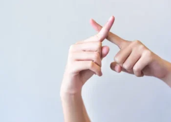 Foto: Shutterstock.com/NeoStudio1, ilustracija