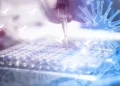 Foto: Shutterstock.com/cawee