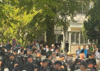 Foto: Vojvodina uživo