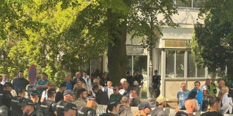 Foto: Vojvodina uživo