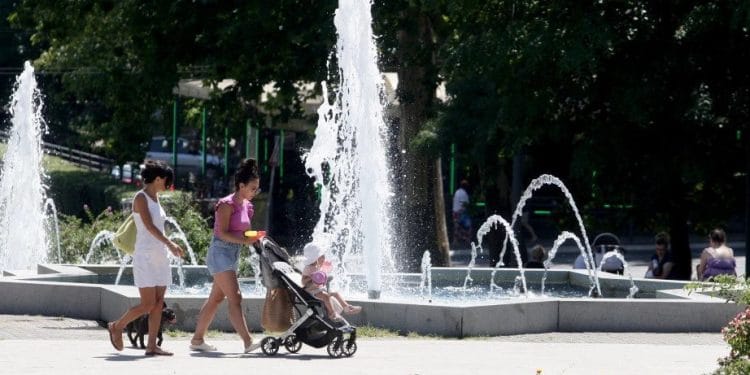 Foto: TANJUG/SAVA RADOVANOVIĆ