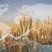 Foto: Shutterstock.com/Leonid Sorokin