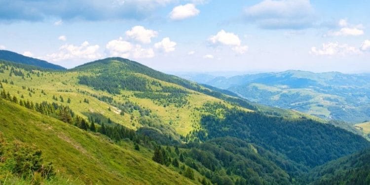 Foto: shutterstock.com/Veronika Kovalenko, ilustracija