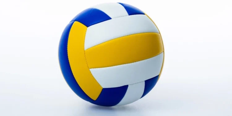 Foto: Shutterstock.com/hxdbzxy, ilustracija