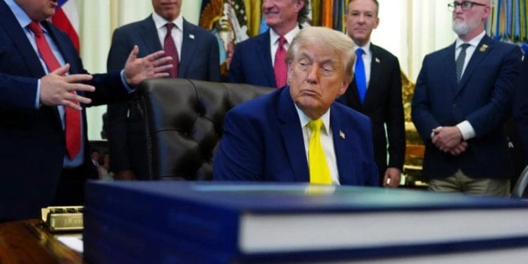 Foto: AP Photo/Julia Demaree Nikhinson