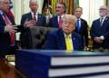 Foto: AP Photo/Julia Demaree Nikhinson