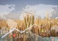 Foto: Shutterstock.com/Leonid Sorokin