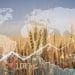 Foto: Shutterstock.com/Leonid Sorokin