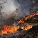 Foto: Ukrainian Emergency Service via AP/
