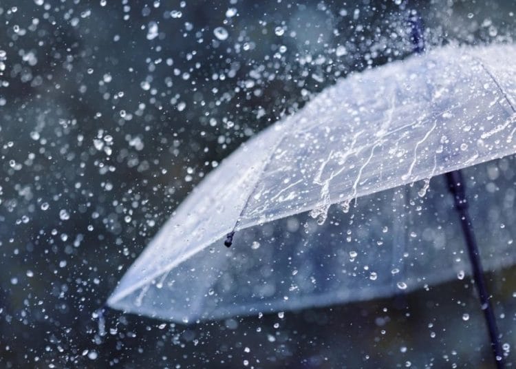 Foto: Shutterstock.com/Julia Sudnitskaya
