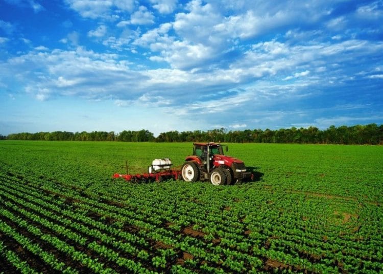 Foto: Shutterstock.com/Evgeniyqw, ilustracija