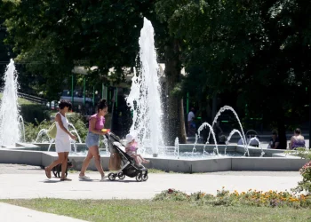 Foto: TANJUG/SAVA RADOVANOVIĆ