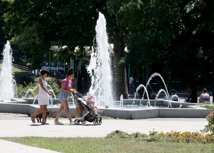 Foto: TANJUG/SAVA RADOVANOVIĆ