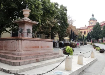 Foto: TANJUG/DOPISNIK NOVI SAD