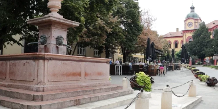 Foto: TANJUG/DOPISNIK NOVI SAD