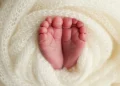 Foto: Shutterstock.com/Vad-Len