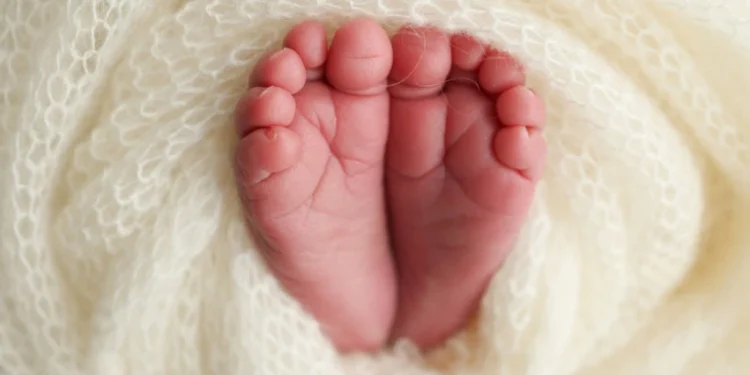 Foto: Shutterstock.com/Vad-Len