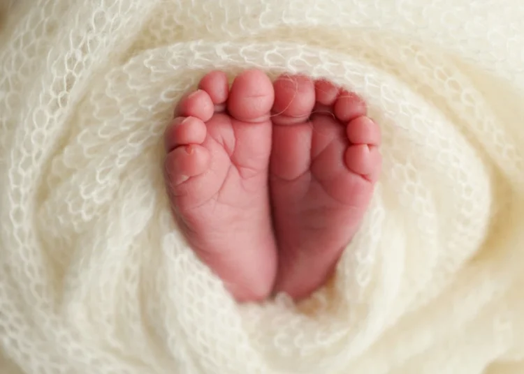 Foto: Shutterstock.com/Vad-Len