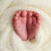 Foto: Shutterstock.com/Vad-Len