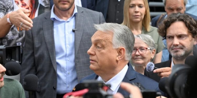 Foto: MTI via AP/Zoltan Mathe
