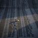 Foto: AP Photo/Armin Durgut