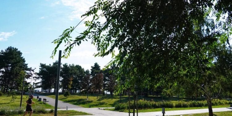 Foto: TANJUG/VLADIMIR ŠPORČIĆ