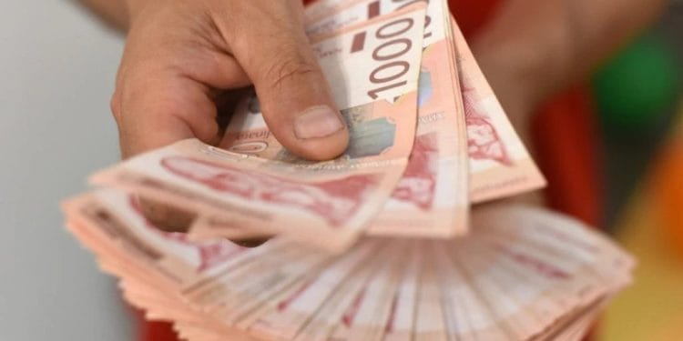 Foto: Shutterstock.com/Maja Marjanovic