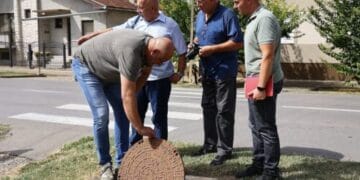 CIFRA MEDIA V. Cifrić
