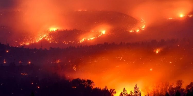 Foto: AP Photo, File/Noah Berger