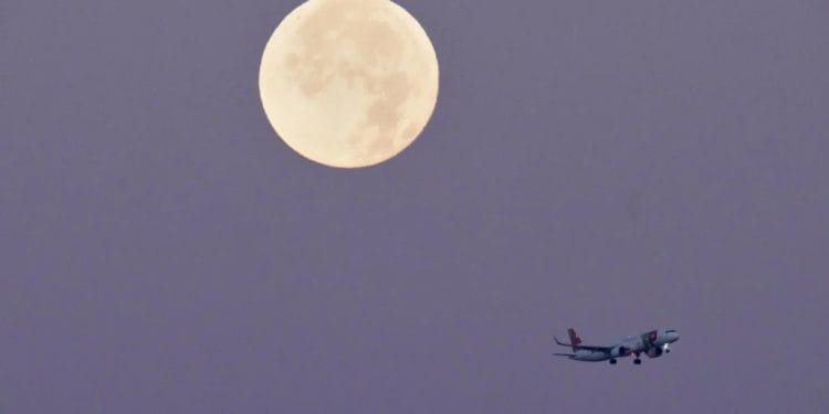 Foto: AP Photo/Armando Franca