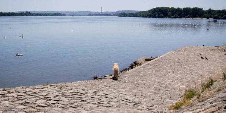 Foto: TANJUG/JADRANKA ILIĆ