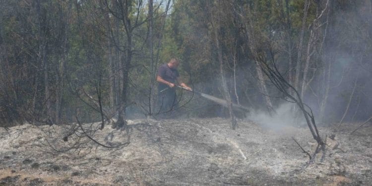 Foto: TANJUG/OMK MUP REPUBLIKE SRBIJE