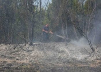 Foto: TANJUG/OMK MUP REPUBLIKE SRBIJE