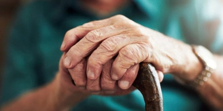 Foto: Shutterstock.com/PeopleImages.com - Yuri A
