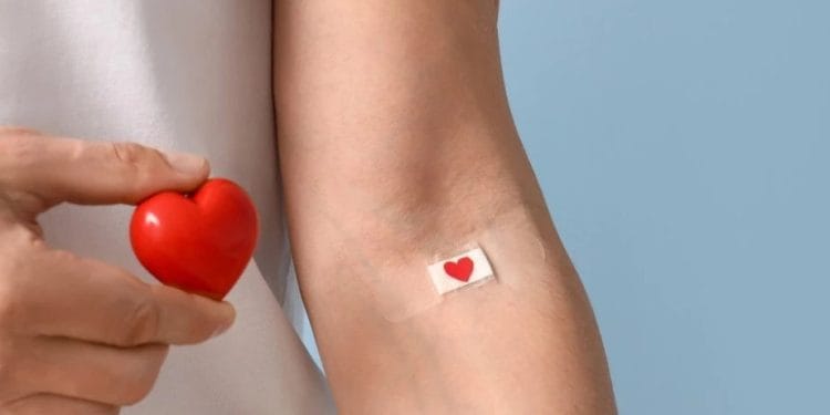 Foto: Shutterstock/Pixel-Shot, ilustracija