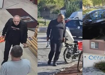 Foto: Vojvodina uživo
