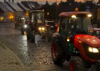 Foto: NS uživo