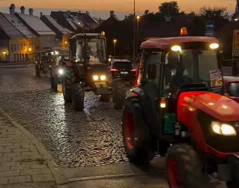 Foto: NS uživo